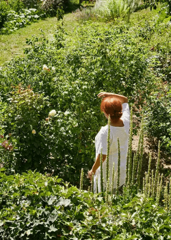 jardin douces angevines