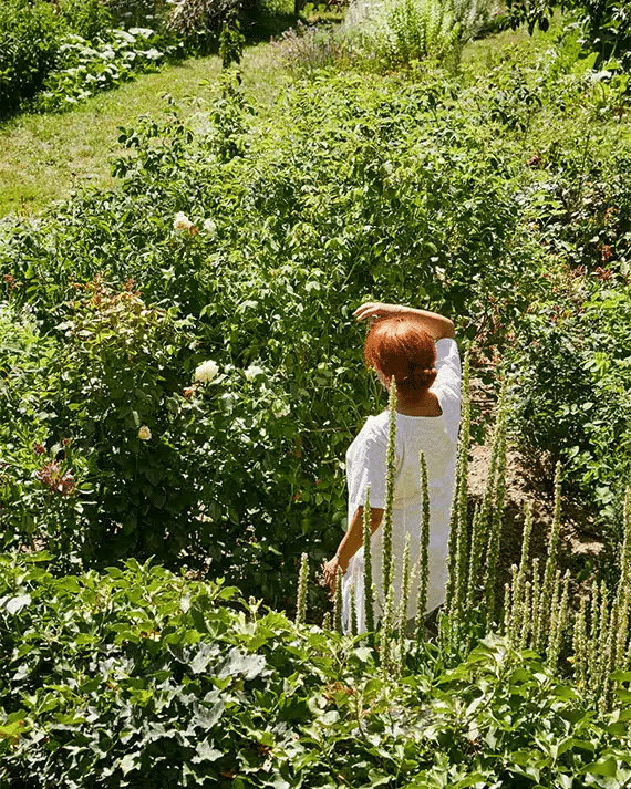 jardin douces angevines